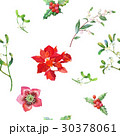 Seamless Pattern with Christmas Plants 30378061
