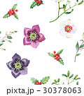 Seamless Pattern with Christmas Flowers 30378063