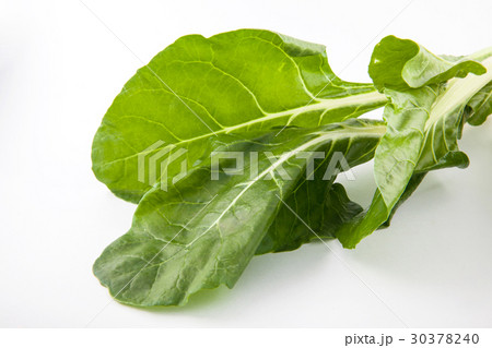 Spinach (Spinacia oleracea) isolated 30378240