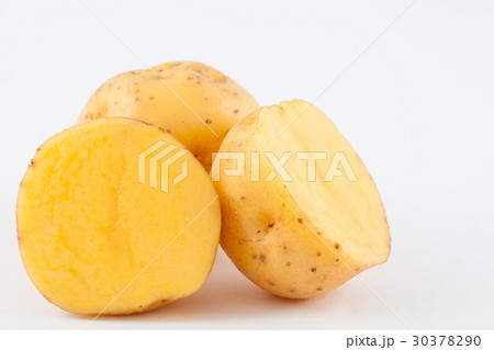 Yellow potato (Solanum phureja) isolated Yellow potato (Solanum phureja) isolated 30378290