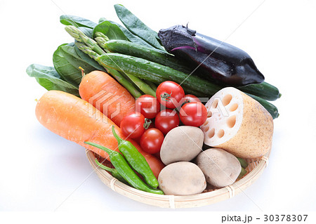 野菜集合 野菜集合 30378307
