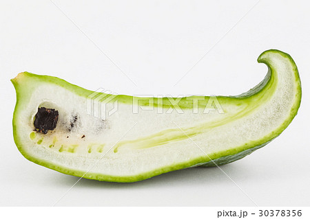 Stuffing cucumber (Cyclanthera pedata) isolated Stuffing cucumber (Cyclanthera pedata) isolated 30378356