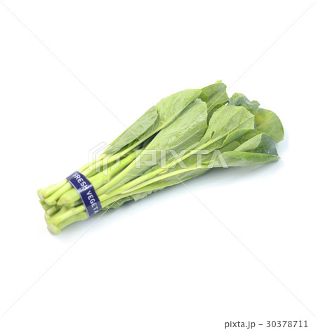 Chinese kale vegetable Chinese kale vegetable 30378711