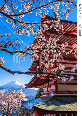 日本を象徴する風景【山梨県・新倉山浅間公園】 日本を象徴する風景【山梨県・新倉山浅間公園】 30379379