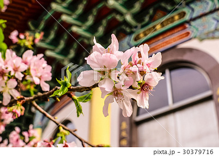 台湾 新北市 淡水 30379716