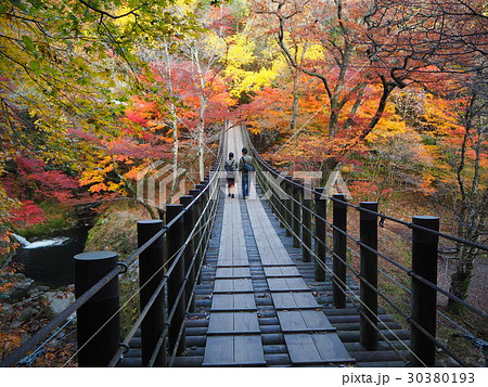 紅葉のなか ふたり 恋人 デートスポット 汐見滝吊橋 花貫渓谷 秋 茨城県 日本の写真素材