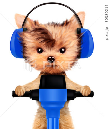 Funny dog with jackhammer Isolated on white Funny dog with jackhammer Isolated on white 30380215