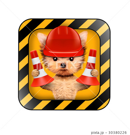 Funny dog with tools isolated on white Funny dog with tools isolated on white 30380226
