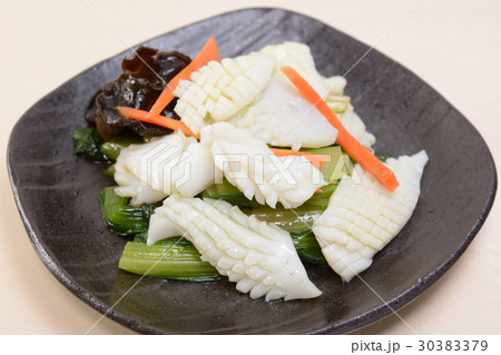 おいしいイカと小松菜の中華和え おいしいイカと小松菜の中華和え 30383379