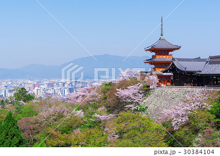 京都　清水寺の三重塔と桜 30384104