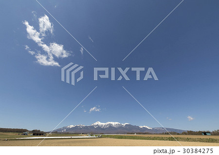 野辺山高原の春 30384275