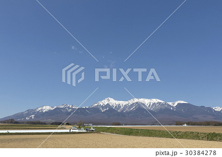 野辺山高原の春 30384278