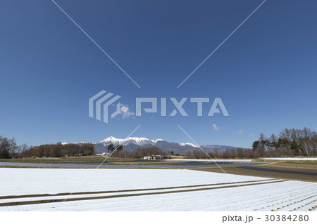 野辺山高原の春 30384280
