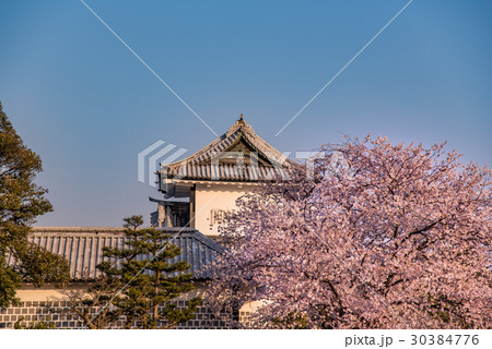石川　金沢城の桜　春らんまん　石川橋 30384776