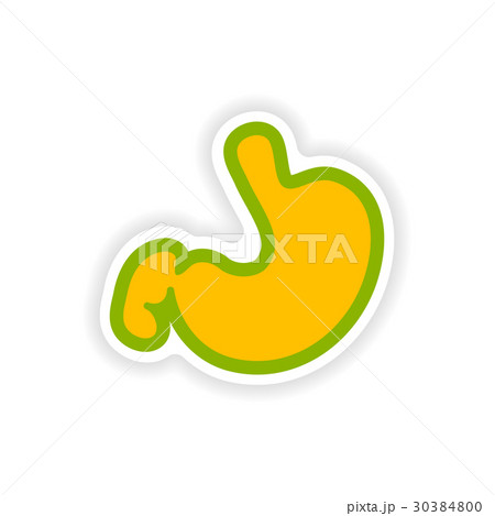 paper sticker on white background human stomach 30384800