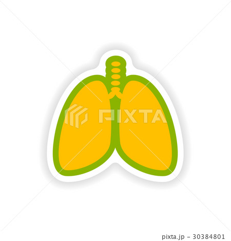 paper sticker on white background human lungs 30384801