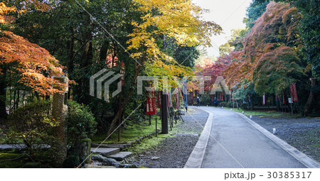Landscape of Japanese garden in autumn 30385317