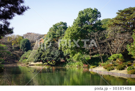 Rikugien park with the lake in Tokyo, Japan Rikugien park with the lake in Tokyo, Japan 30385408
