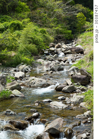 渓流 足久保川上流 渓流 足久保川上流 30387457