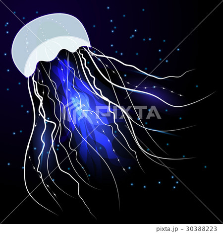 Shiny jellyfish on dark background.  30388223