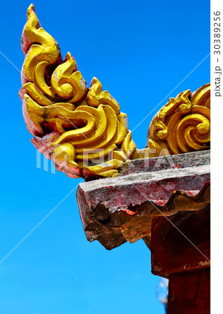 bangko  thailand incision of the buddha   30389256