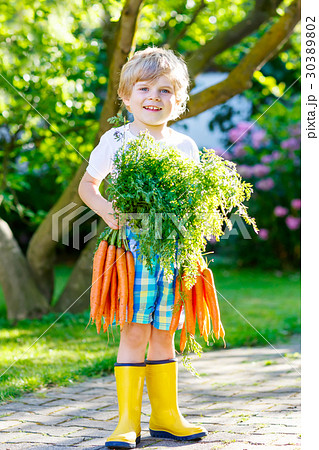 Adorable little kid boy with carrots in domestic Adorable little kid boy with carrots in domestic 30389802