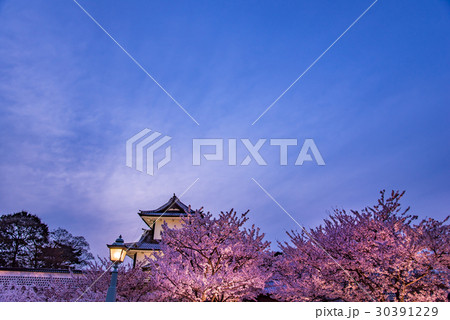 石川　金沢城の桜　春らんまん　石川橋 30391229