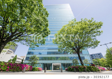 名古屋市中村区名駅都市風景　名駅通　下広井町　住友生命名古屋ビル 30392177