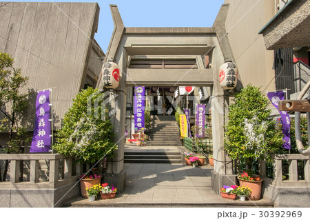 烏森神社 烏森神社 30392969