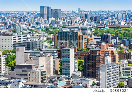 東京大学と文京区周辺の町並み 30393024