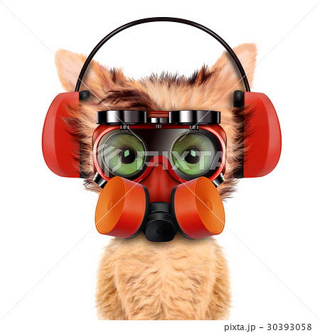 Funny dog with respirator isolated on white Funny dog with respirator isolated on white 30393058