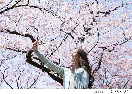 サクラ 桜 自撮りする若い女性の写真素材