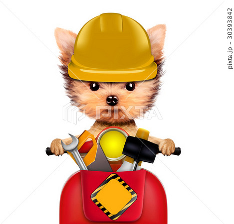 Funny dog with construction tools isolated on 30393842