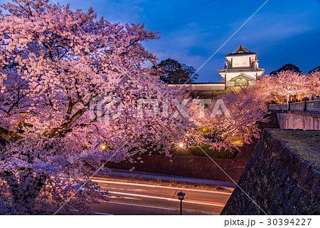 石川　金沢城の桜　春らんまん　石川橋と石川門 30394227
