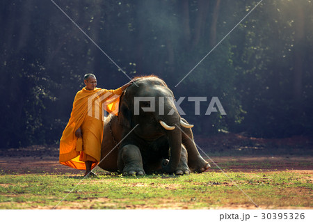 Buddhist monks or priests Buddhist monks or priests 30395326