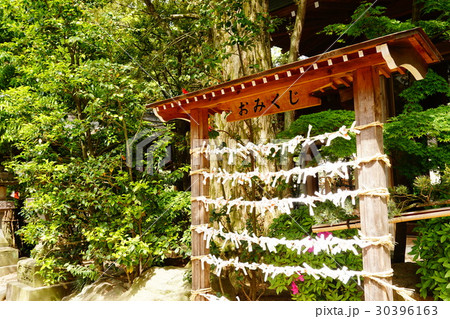 おみくじ　 30396163