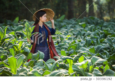 Laos women beautiful portrait farming concept 30396192