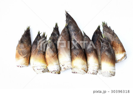 白背景のタケノコ 30396318