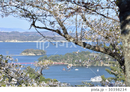 西行戻しの松公園(日本三景松島) 西行戻しの松公園(日本三景松島) 30398234