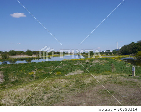 多摩川と大栗川の合流地点 30398314