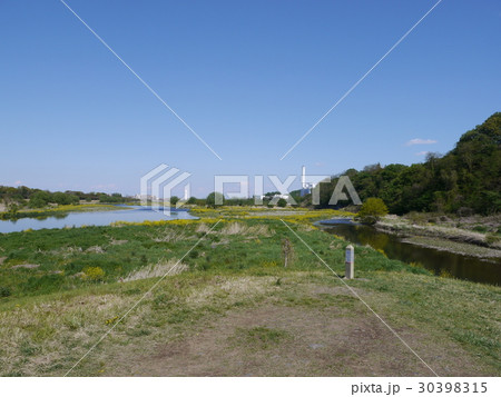 多摩川と大栗川の合流地点 30398315