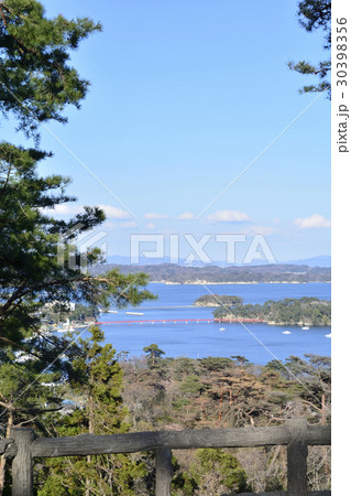 西行戻しの松公園(日本三景松島) 西行戻しの松公園(日本三景松島) 30398356