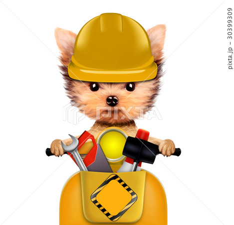 Funny dog with construction tools isolated on Funny dog with construction tools isolated on 30399309