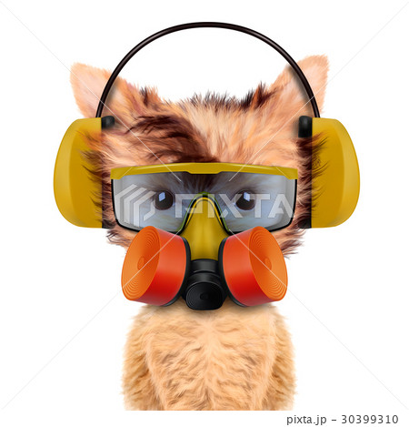 Funny dog with respirator isolated on white 30399310