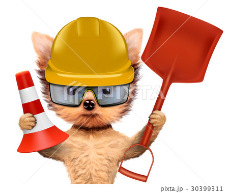Funny dog with cone and shovel isolated on white Funny dog with cone and shovel isolated on white 30399311