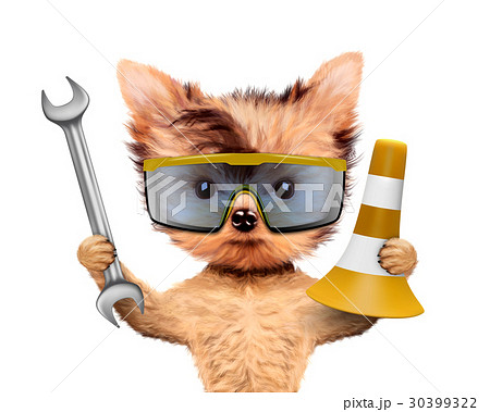 Funny dog with wrench and cone isolated on white 30399322
