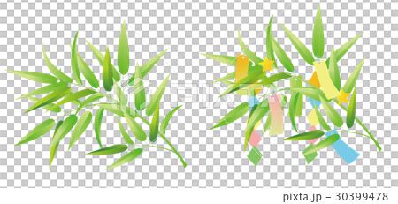 短冊と笹 30399478