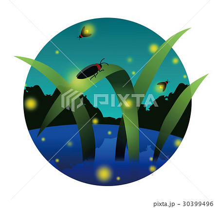 夏夜の蛍のイラスト素材