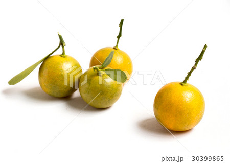 Closed up of kumquat orange that placed Closed up of kumquat orange that placed 30399865