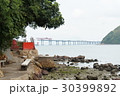 港珠澳大橋 30399892